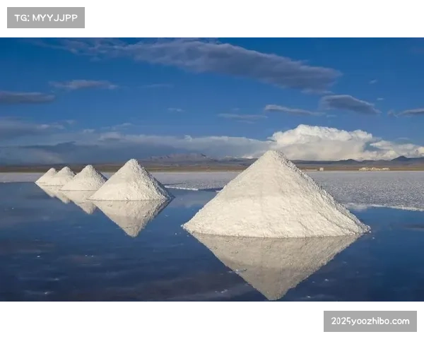 西甲联盟联合DirecTV拉美和天空巴西，共同打击拉美地区盗版转播